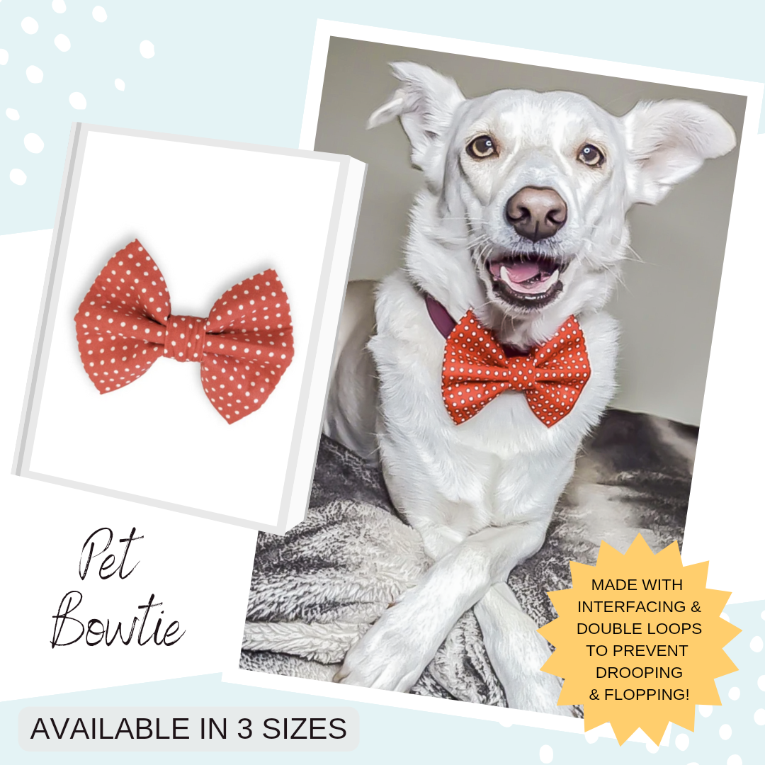 Red Spotty Red Pet Bowtie