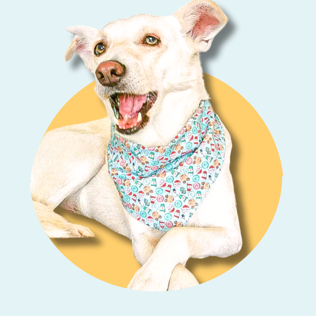 Christmas Coffee & Doughnuts Dog Bandana | Scarf Tie On Bandana