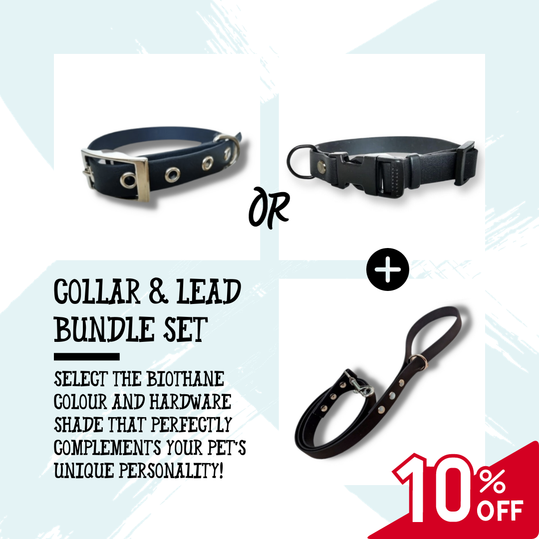 Biothane Collar and Lead bundle set