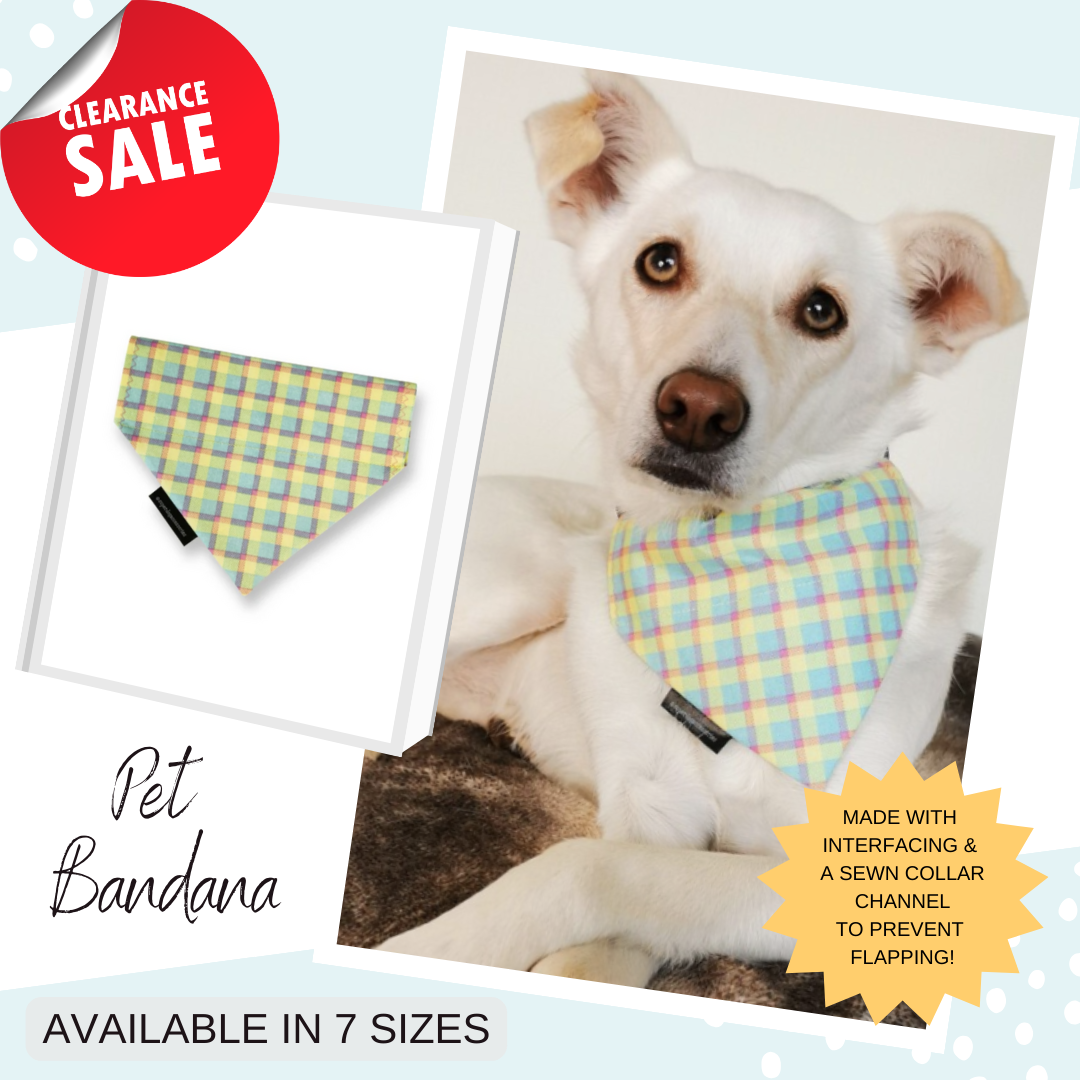 Dog accessories best sale for sale