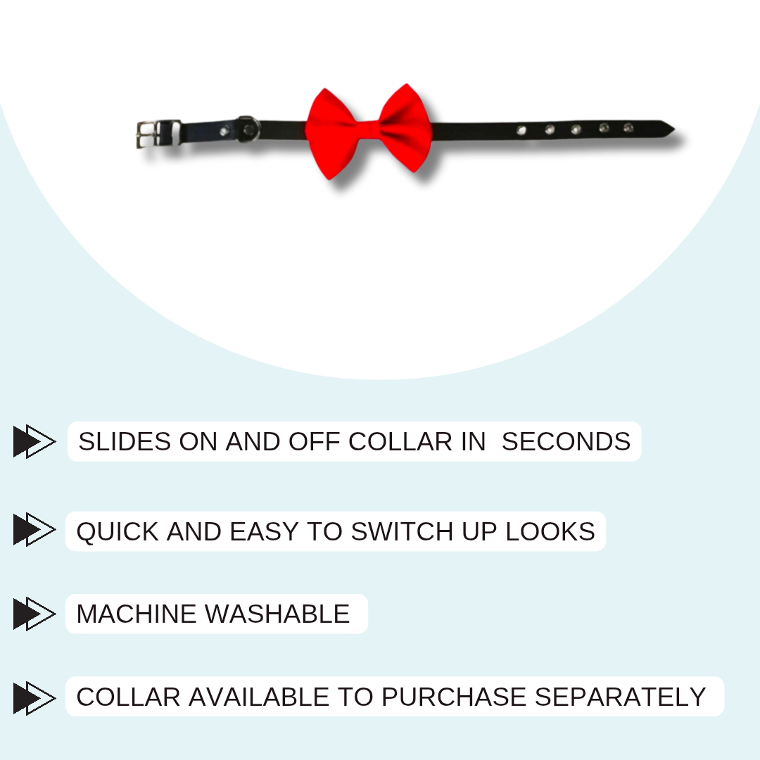 Red Pet Bowtie