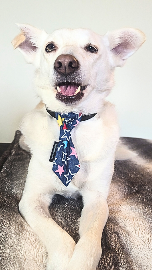 Denim Star Slip On Dog Necktie