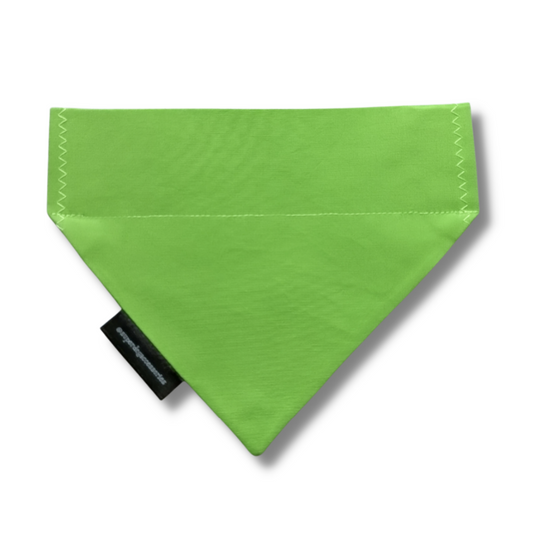 Green Dog/Cat Slip On Bandana