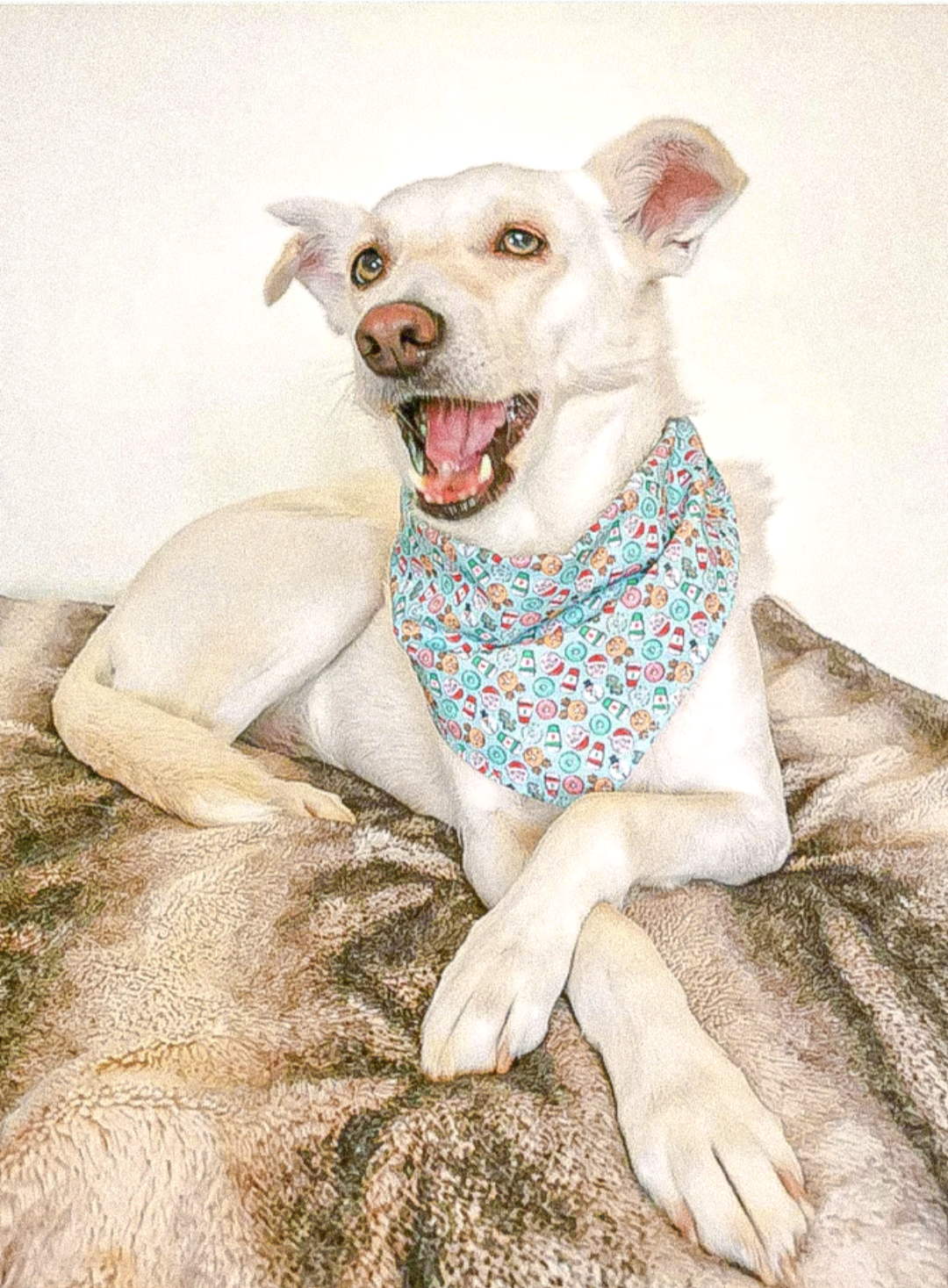 Christmas Coffee & Doughnuts Dog Bandana | Scarf Tie On Bandana