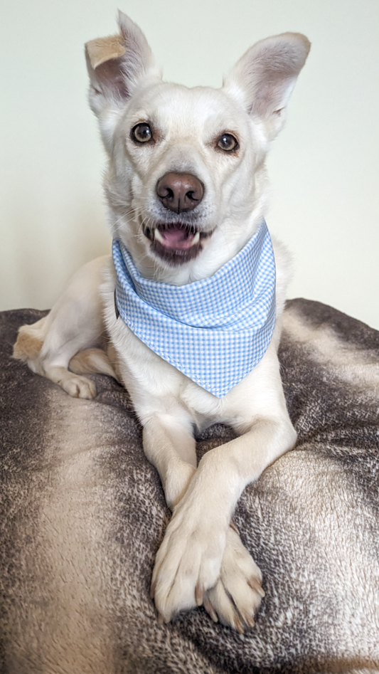 Blue Check Bandana | Scarf Tie On Bandana