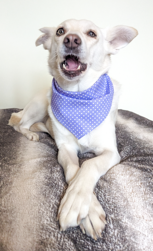 Purple Spotty Bandana | Scarf Tie On Bandana