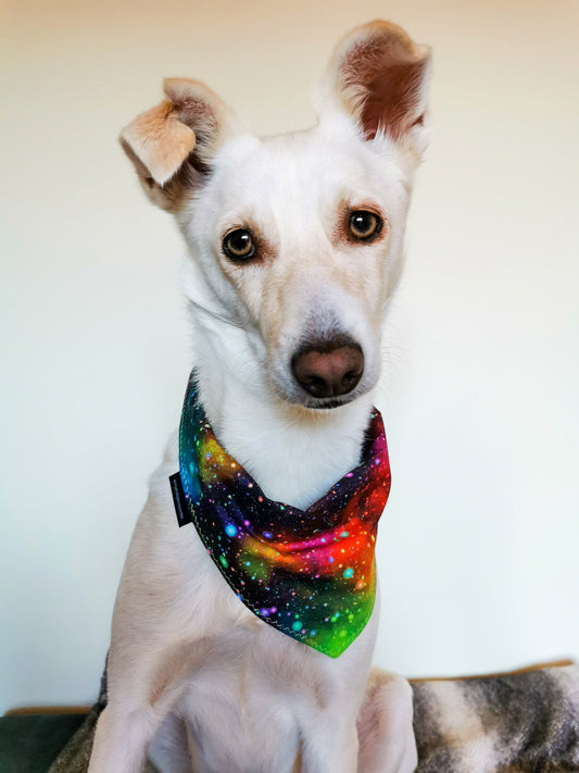 Space Galaxy Dog Bandana | Scarf Tie On Bandana