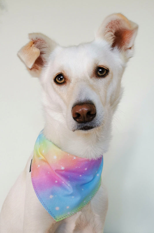Pastel Rainbow Print Dog Bandana | Scarf Tie On Bandana