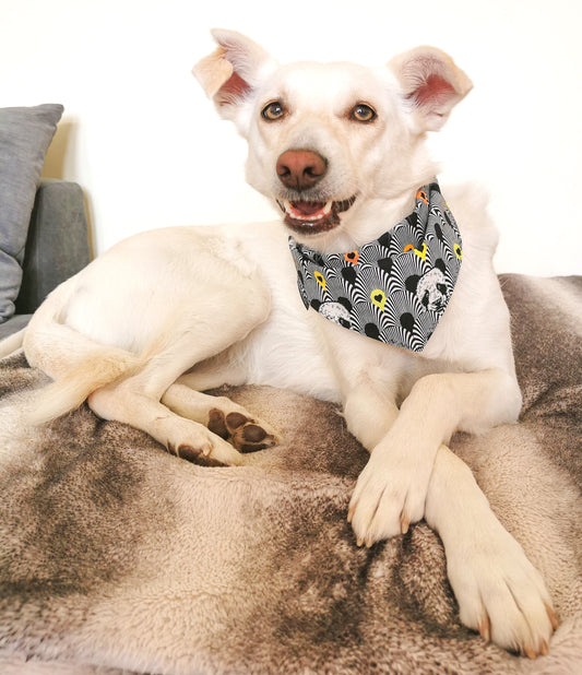 Black and white Panda Bandana | Scarf Tie On Dog Bandana