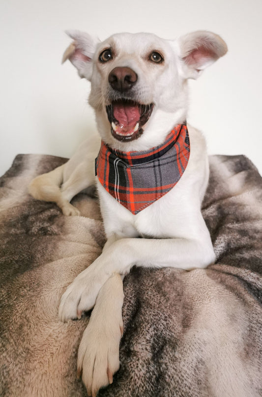 Orange Grey Tartan Dog Bandana | Scarf Tie On Bandana