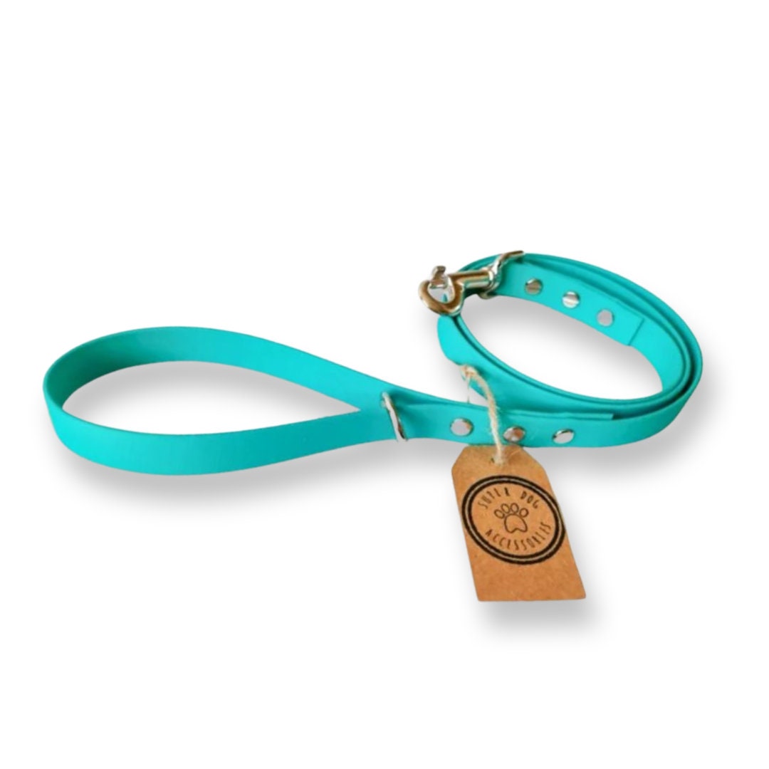 Teal Biothane Vegan Dog Lead Waterproof Long Training Line