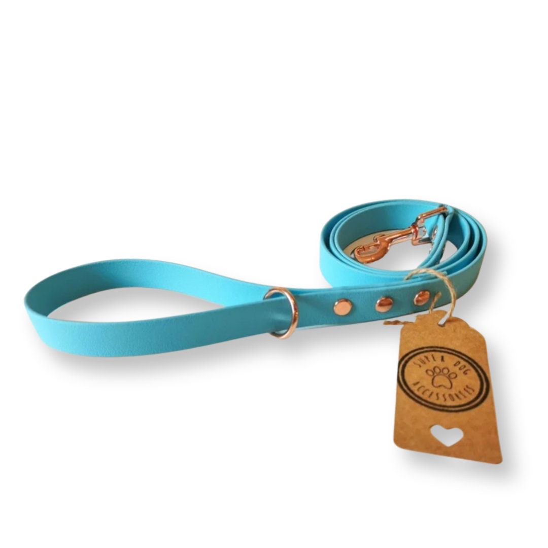 Sky Blue Biothane Vegan Dog Lead | Waterproof Long Training Line