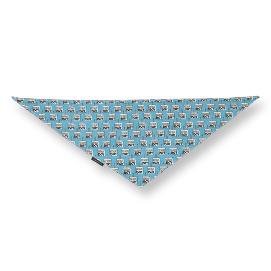 Blue Birthday Boy Bandana | Scarf Tie On Dog Bandana