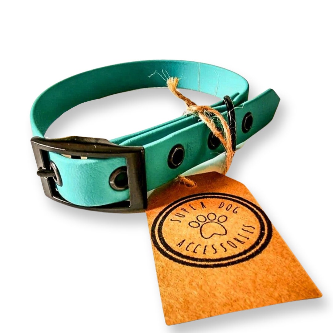 Teal Biothane Waterproof Vegan Buckle Dog Collar