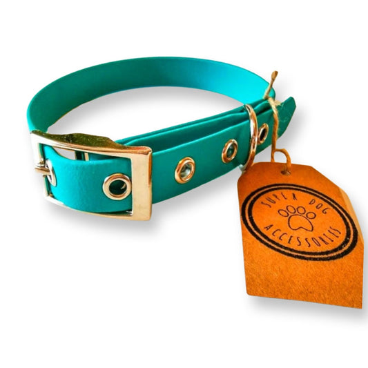 Teal Biothane Waterproof Vegan Buckle Dog Collar