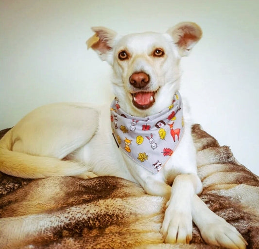 Pet Autumn Fall Dog Bandana | Scarf Tie On Dog Scarf