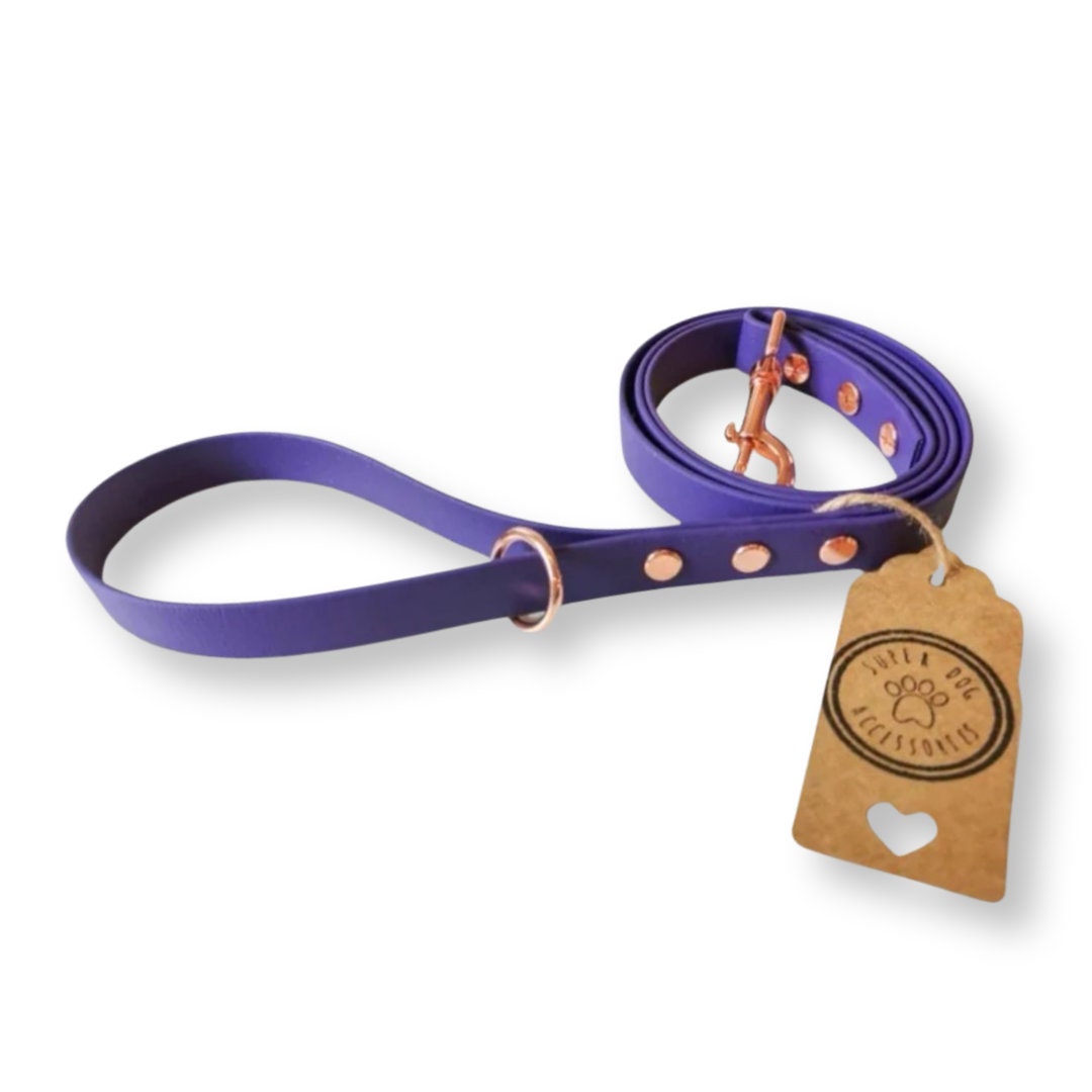 Purple Biothane Vegan Dog Lead | Waterproof Long Training Line