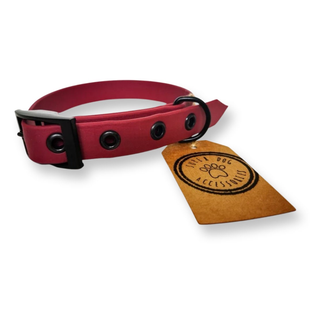 Wine Biothane Waterproof Vegan Buckle Dog Collar