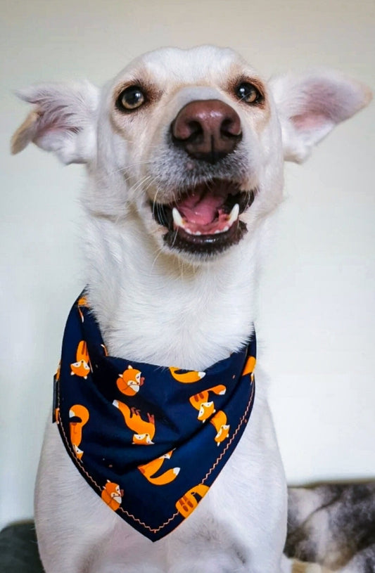 Navy Fox Dog Bandana | Scarf Tie On Bandana