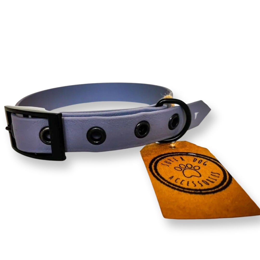 Grey Biothane Waterproof Vegan Buckle Dog Collar