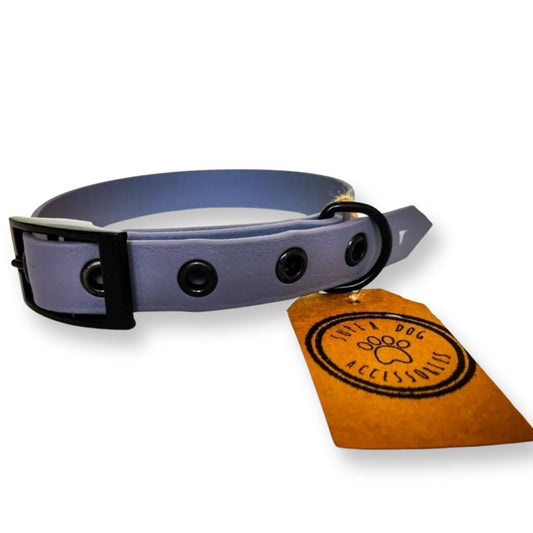 Grey Biothane Waterproof Vegan Buckle Dog Collar