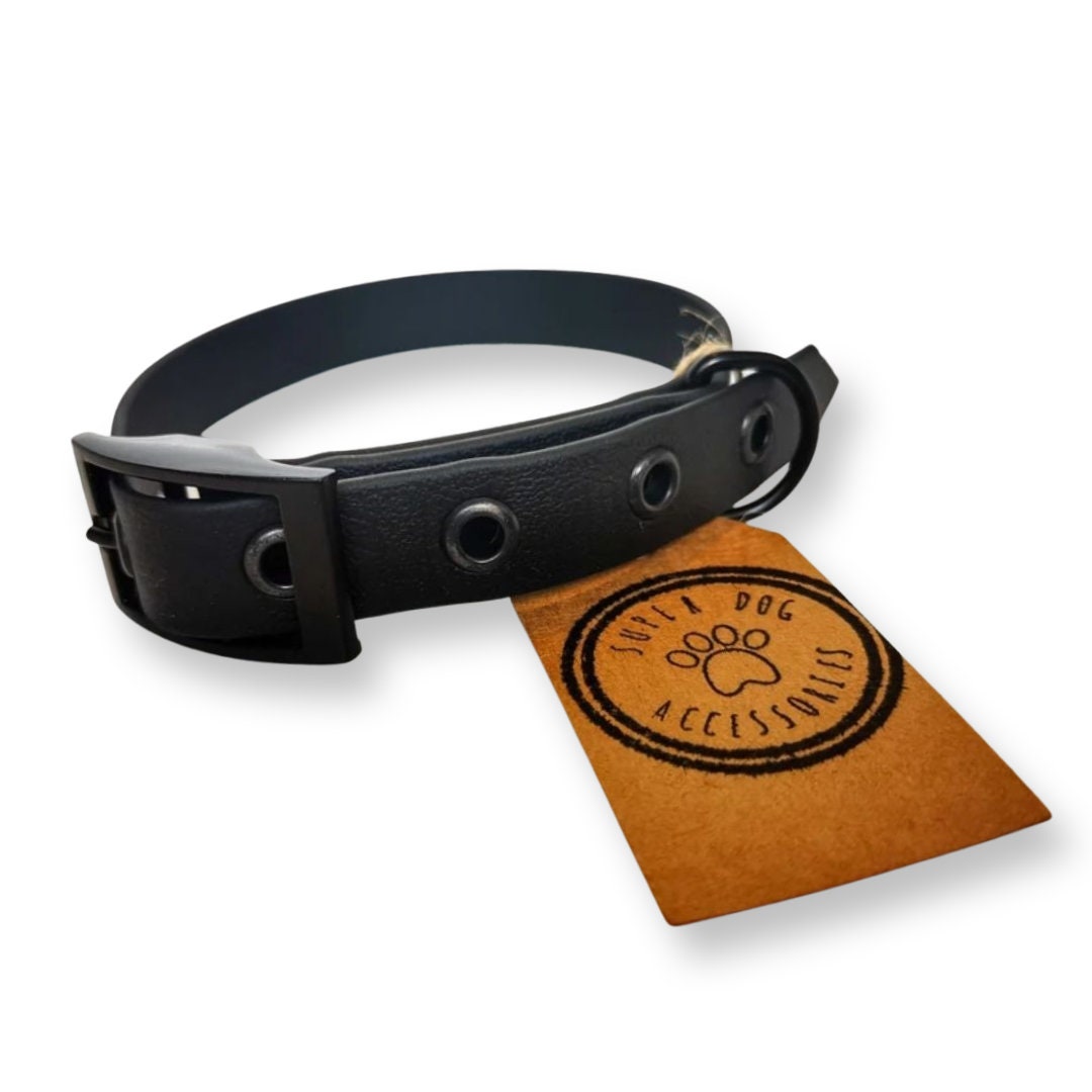 Black Biothane Waterproof Vegan Buckle Dog Collar