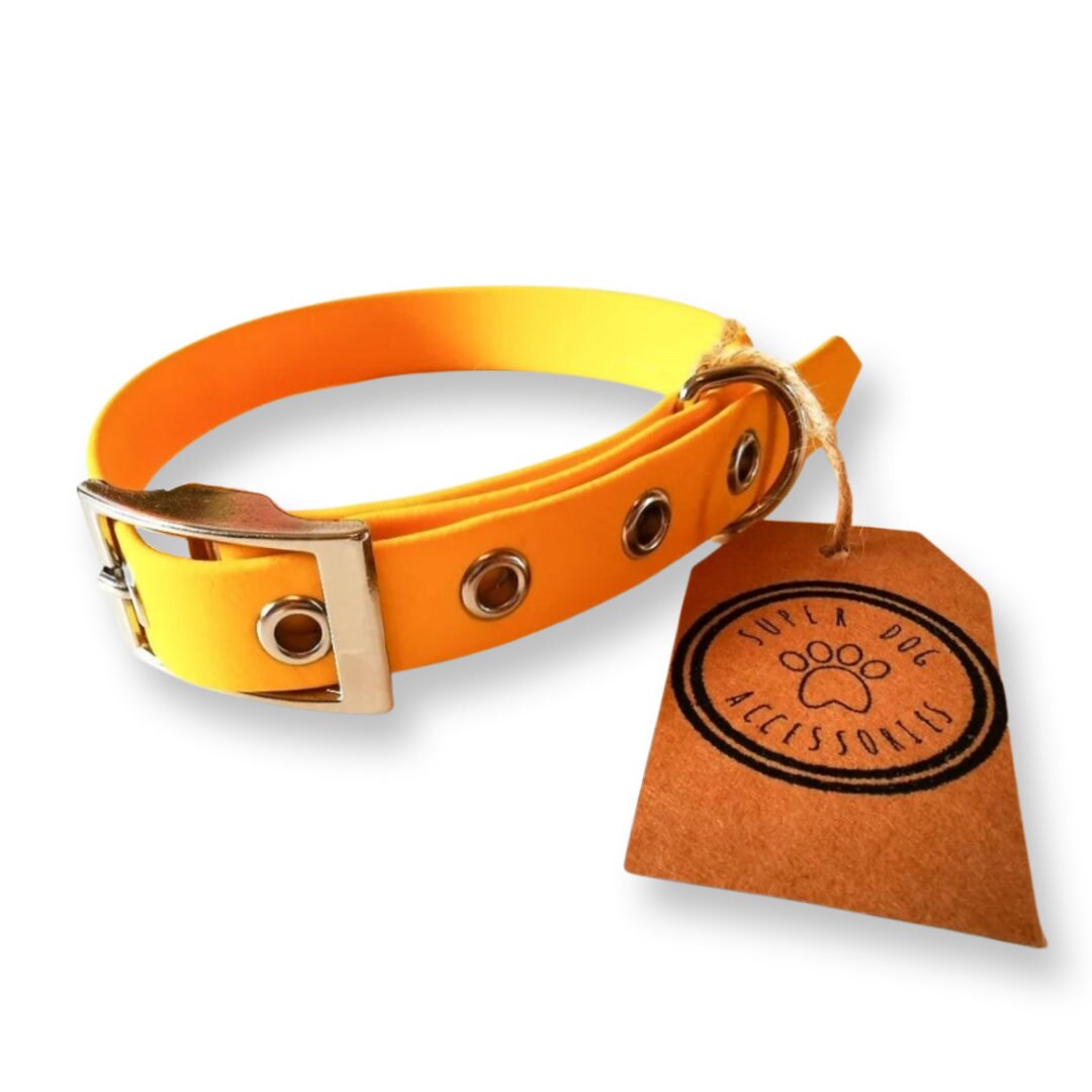 Yellow Biothane Waterproof Vegan Buckle Dog Collar
