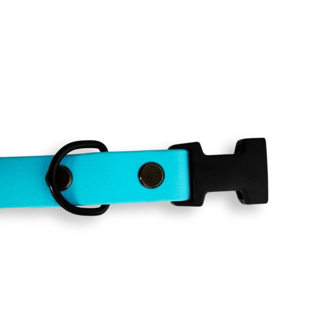 Sky Blue Biothane Vegan Waterproof Quick Release Dog Collar