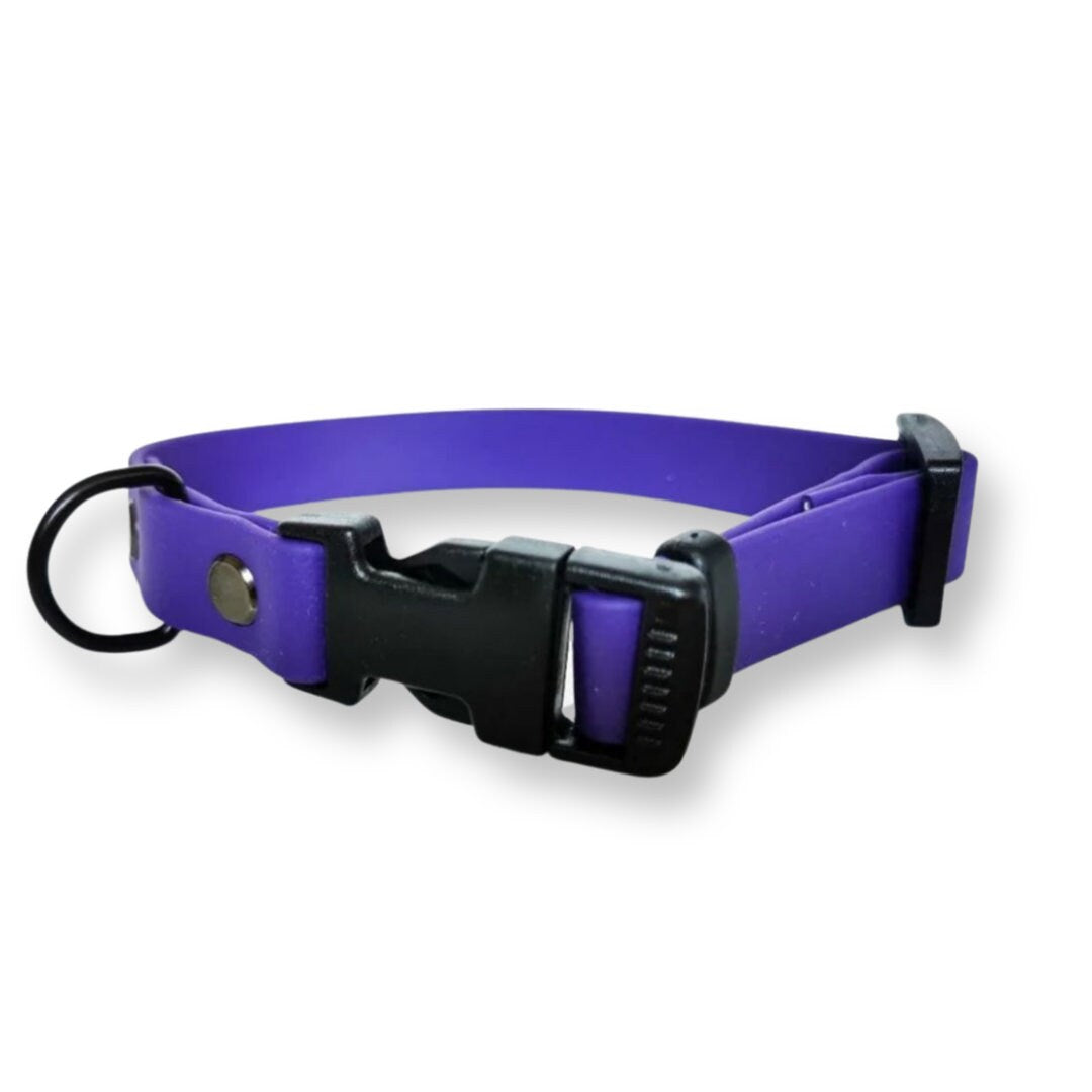 Purple 2024 dog accessories