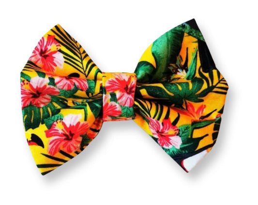 Tropical Pet Bowtie
