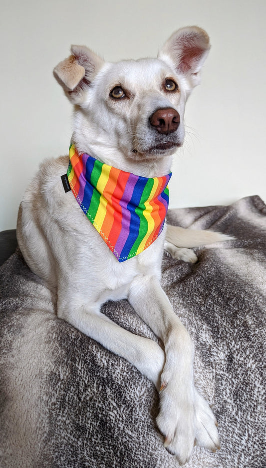 Rainbow Pride Dog Bandana | Scarf Tie On Bandana