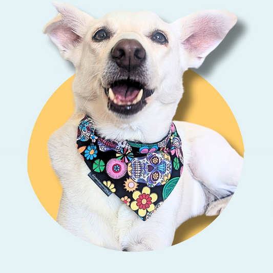 Sugar Skull Dog/Cat Slip On Bandana