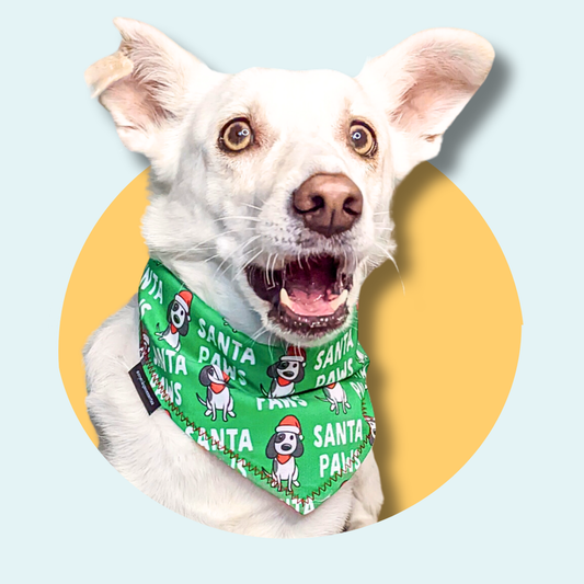 Christmas Santa Paws Dog Bandana | Scarf Tie On Bandana