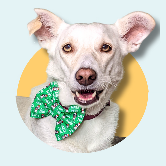 Christmas Santa Paws Pet Bowtie