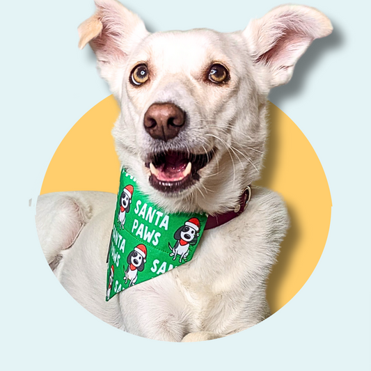Christmas Santa Paws Dog/Cat Slip On Bandana