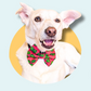 Christmas Red Holly Pet Bowtie