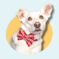 Christmas Scandi Style Reindeer Pet Bowtie