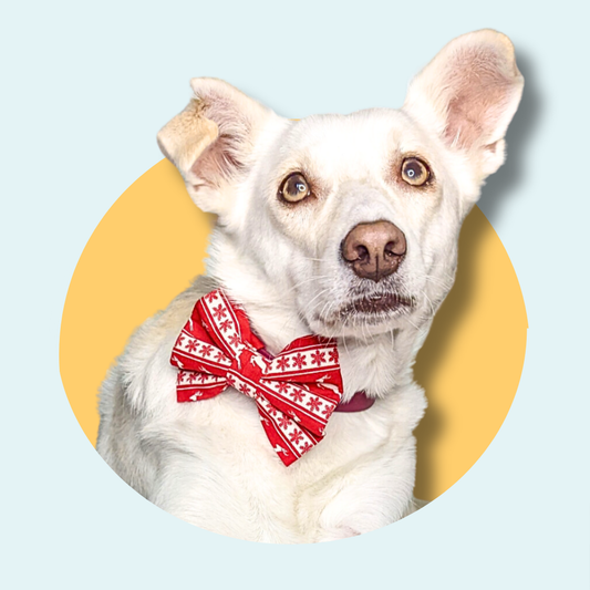 Christmas Scandi Style Reindeer Pet Bowtie