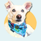 Sugar Skull Dog Bandana | Scarf Tie On Bandana