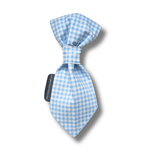Blue Gingham Check Dog Tie