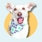 St Patrick's Day Kiss Me I'm Irish Bandana Dog/Cat Slip On Bandana