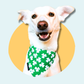 St Patrick's Day Shamrock Bandana Dog/Cat Slip On Bandana