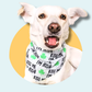 St Patrick's Day Kiss Me I'm Irish Bandana | Scarf Tie On Dog Bandana