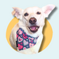 Hearts & Flowers Dog/Cat Slip On Bandana