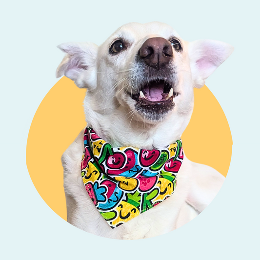 Fruity Dog Bandana, Bright Summer Dog Scarf, Handmade Cotton Tie On