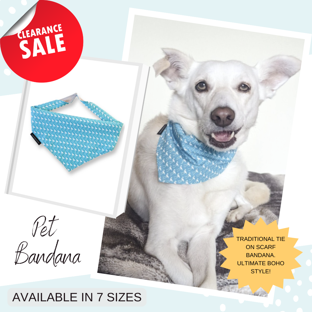 Blue Flamingo Bandana | Scarf Tie On Dog Bandana