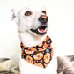 Pumpkin Halloween Dog Bandana | Scarf Tie On Bandana