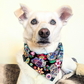 Black Sugar Skull Dog Bandana | Scarf Tie On Howloween Bandana