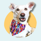 Ghoul Halloween Dog/Cat Slip On Bandana
