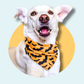Orange Bat Halloween Dog Bandana | Scarf Tie On Bandana